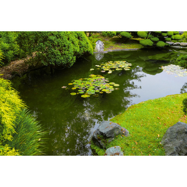 Búvárszivattyú, szennyvízszivattyú, Trotec TWP 7536 E