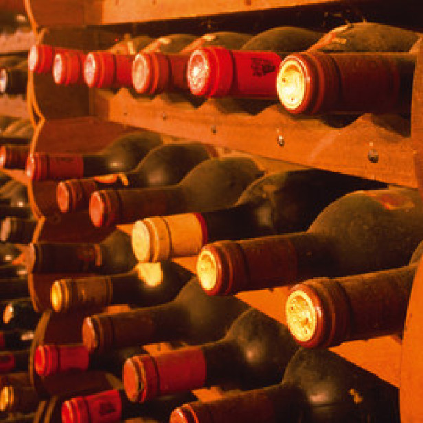 Prémium Design páramentesítő - Trotec DH 60 VPRplus