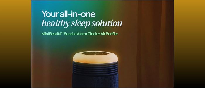  BLUEAIR Mini Restful 